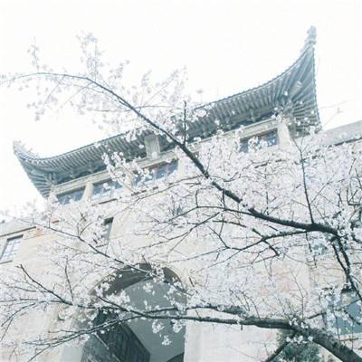 上海一中院一审公开宣判被告人闻春林、吴婷等六人集资诈骗、非法吸收公众存款案